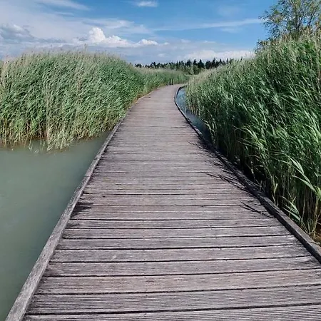 Provence, Vue Lac, Parc Spirou, Wave Island, Avignon *