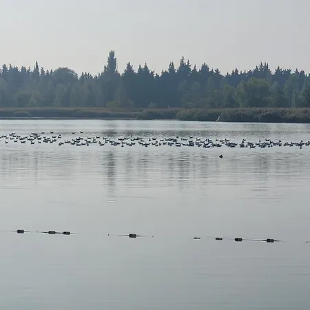 Bord Lac, Climatisé Proche Avignon, Plage, Wave Island&spirou Monteux
